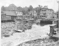 tforestville4