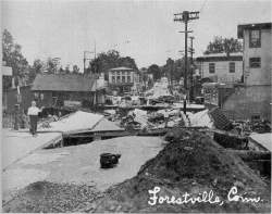 tforestville6